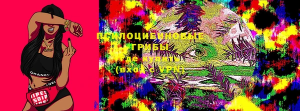 прущие грибы Алексин