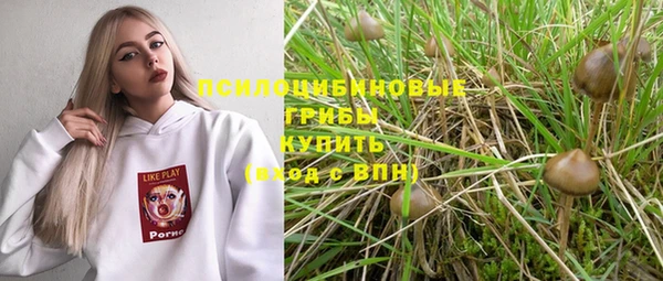 прущие грибы Алексин