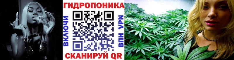 Каннабис гибрид  наркотики  Ессентукская 